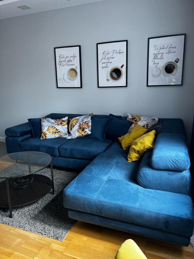 Family & Business Elegant Apartments Ul Astronautow Centrum Downtown - 3 Bedroom, Parking Kielce Eksteriør billede